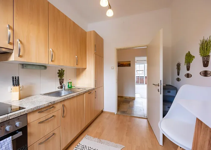 Steinmetz-haus 公寓 *